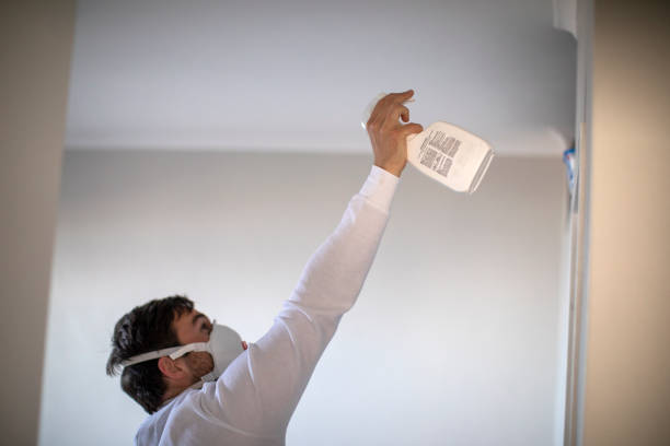 Reliable Ruhenstroth, NV Mold Removal Solutions